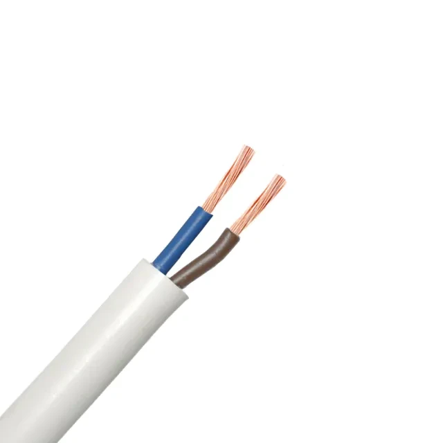 Fir electric PVS 2 * 2.5 mm² alb cupru